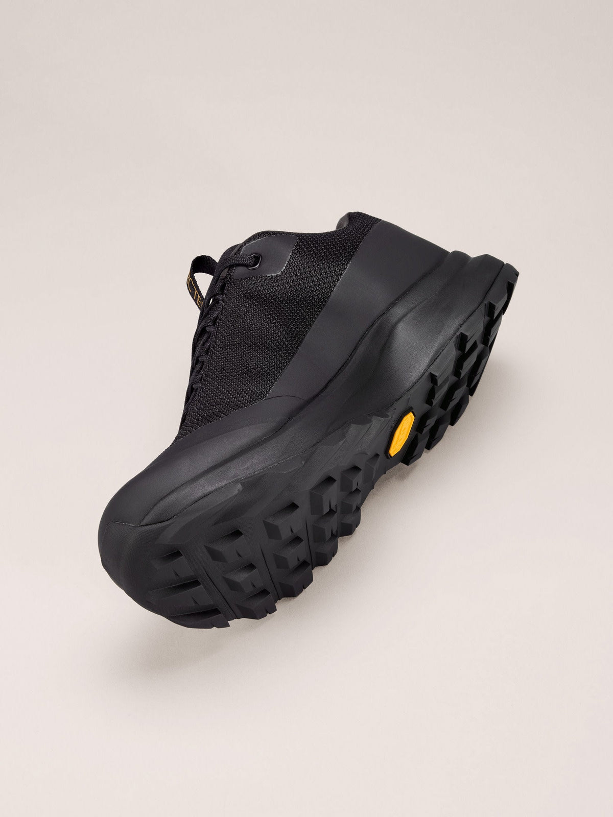 Aerios FL 2 GTX Shoe Women's
