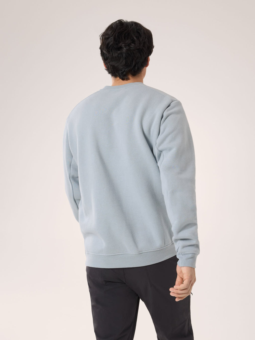 Emblem Fleece Crew Neck Pullover Men's