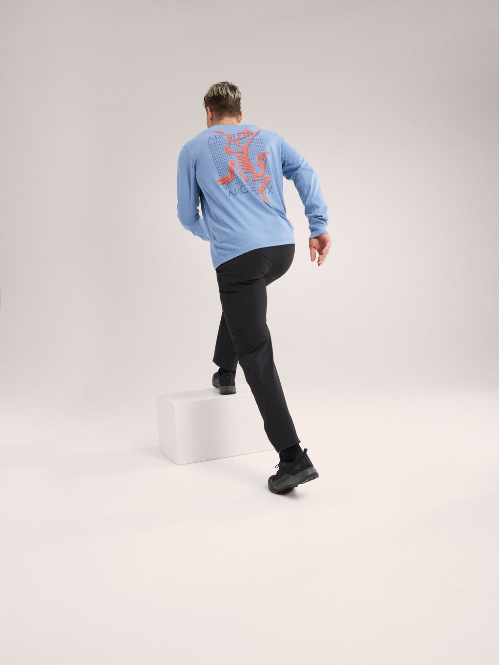 Arc'Multi Bird Logo Shirt LS Men's