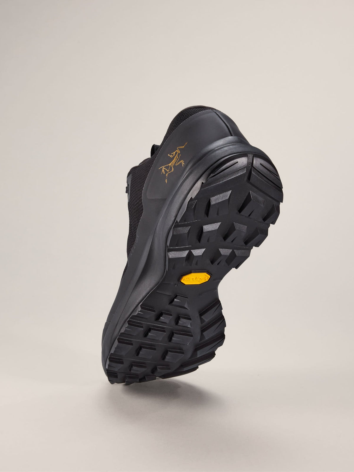 Aerios FL 2 GTX Shoe Men's