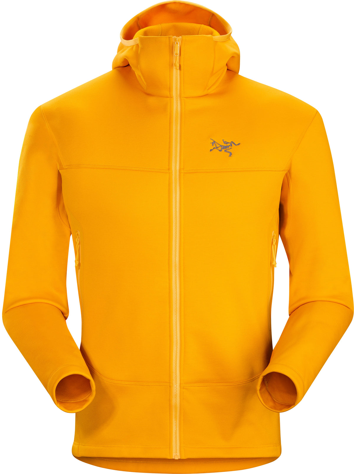Arenite Hoody Men's