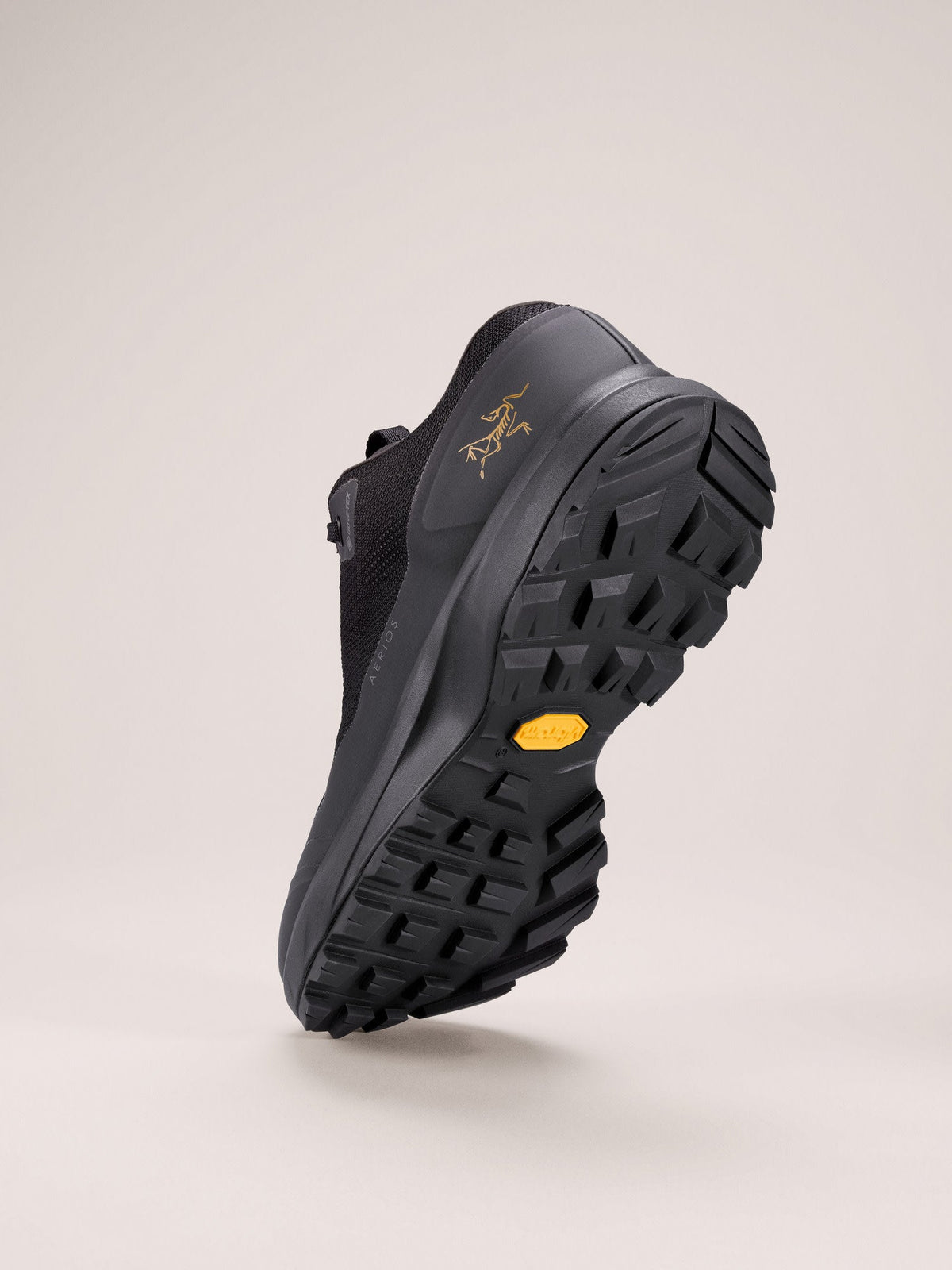 Aerios FL 2 GTX Shoe Women's