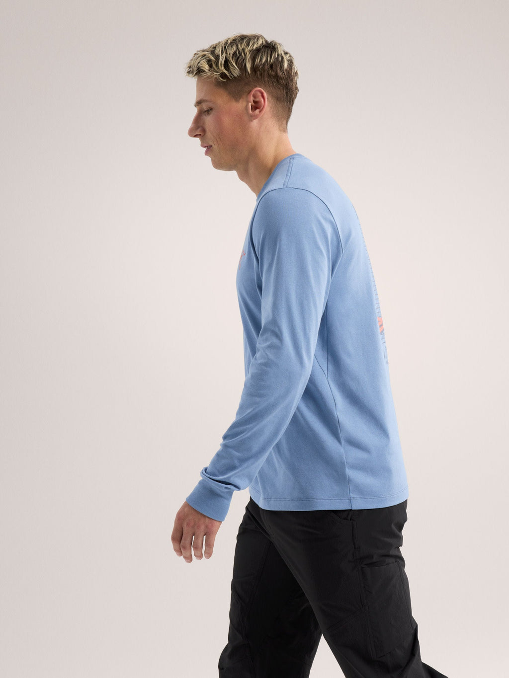 Arc'Multi Bird Logo Shirt LS Men's