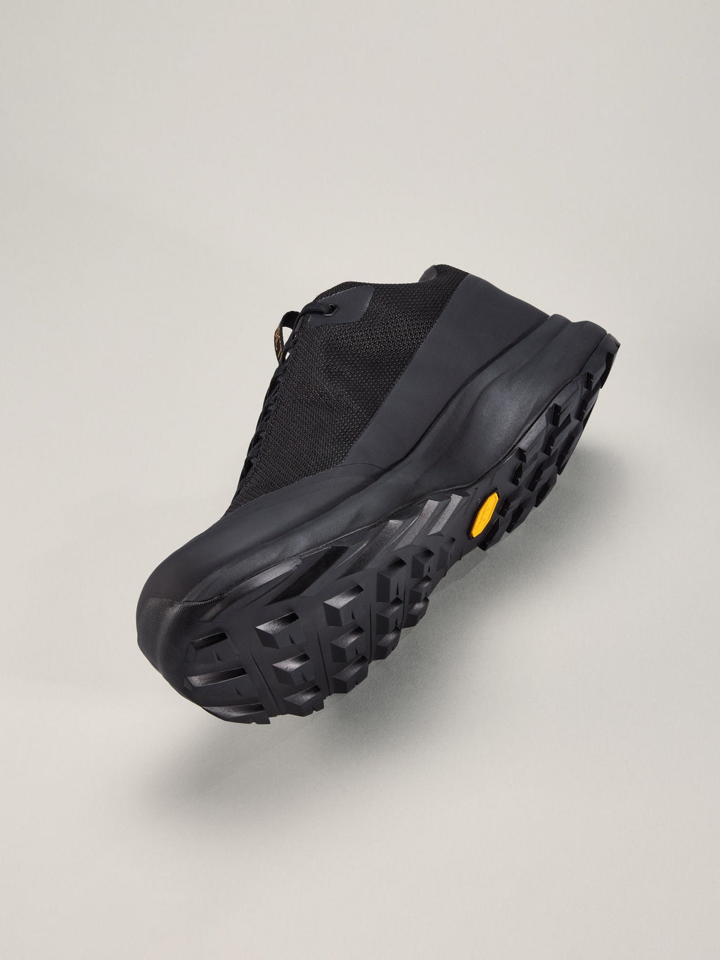 Aerios FL 2 GTX Shoe Men's